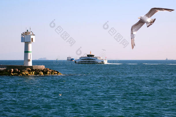 空气鸟博斯普鲁斯海峡商业货物