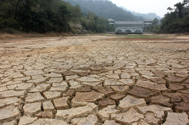 背景光秃秃的生物学的桥<strong>珍惜</strong>