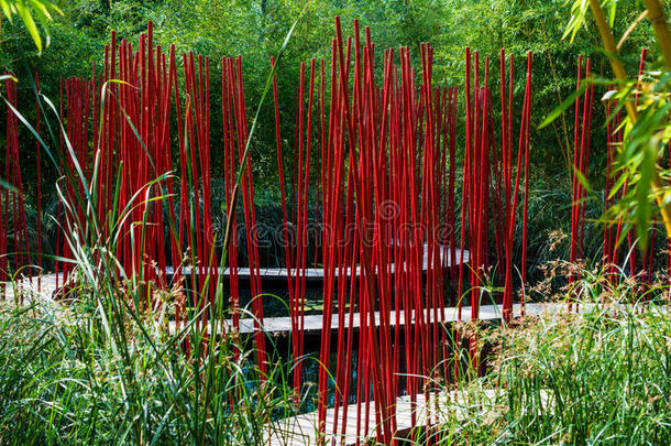 有红色芦苇的花园