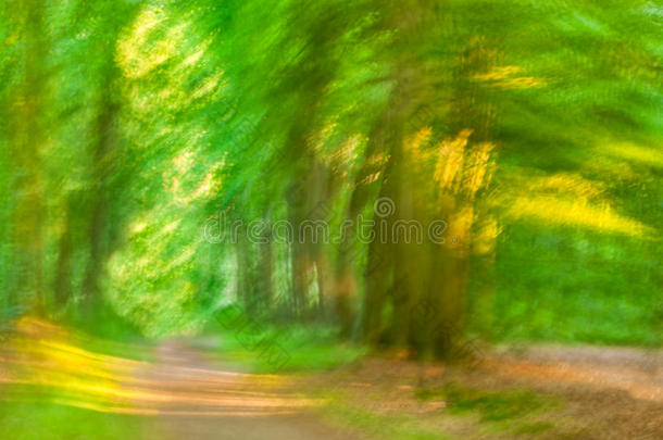 森林金色的绿色印象印象派