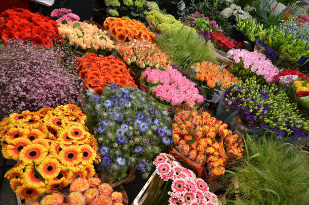 阿姆斯特丹<strong>花卉市场</strong>
