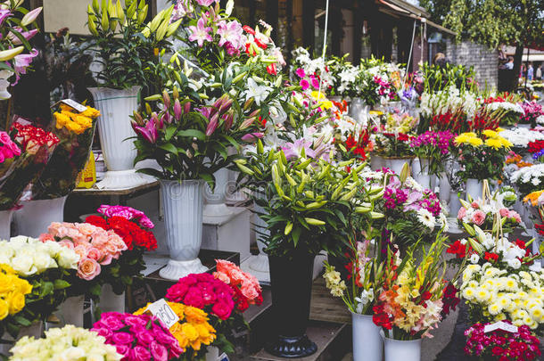 拉脱维亚里加的花卉市场