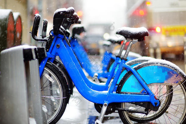 美国自行车蓝色圣诞<strong>节气</strong>候