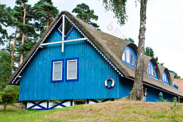 美丽的蓝色小屋文化森林