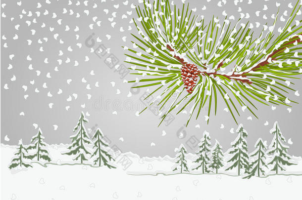 冬季松枝雪松与松果圣诞主题向量