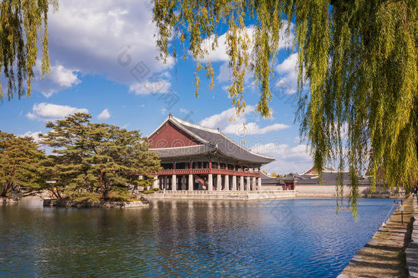 在首尔京博贡宫的一个湖里