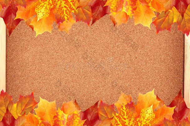 秋天的枫叶在软木板上