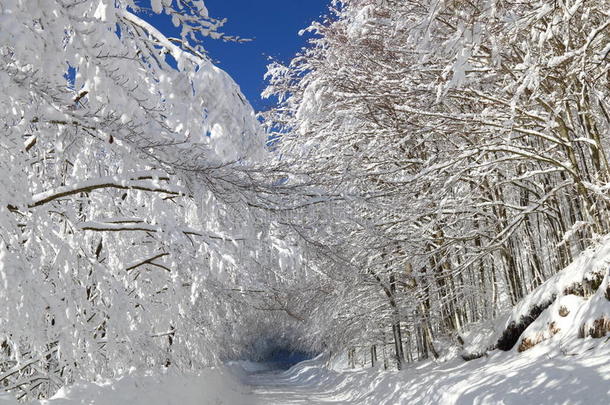 雪路