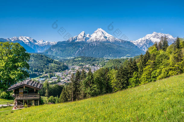 巴伐利亚阿尔卑斯山与美丽的花朵和瓦特兹曼在春天，巴伐利亚，德国