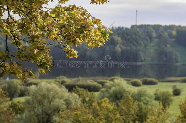 秋季景观在欧洲与秋季叶框