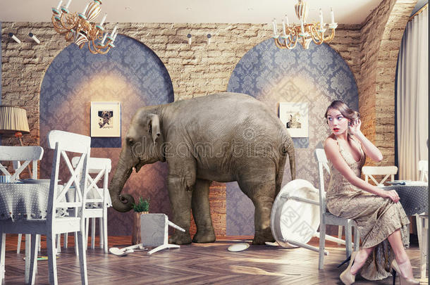 餐馆里的大象平静下来
