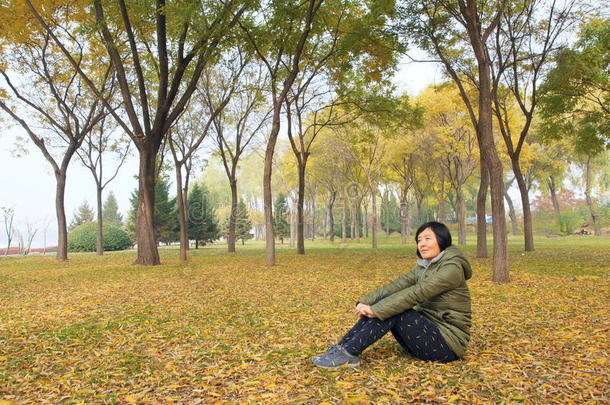 秋天秋天的中国人每年落叶的落叶