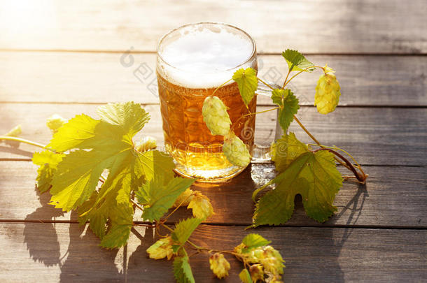 啤酒。 杯子与啤酒和跳跃在日落夏秋背景。