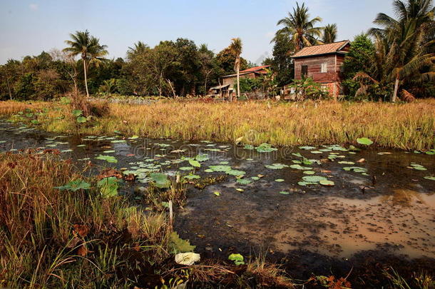 地区沼泽小屋柬埔寨柬埔寨人