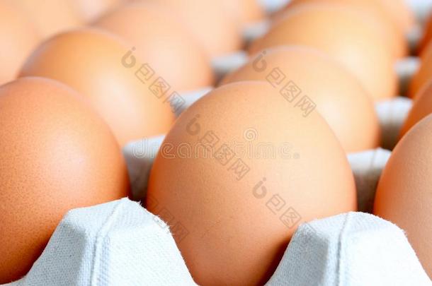 托盘上有新鲜的农场鸡蛋