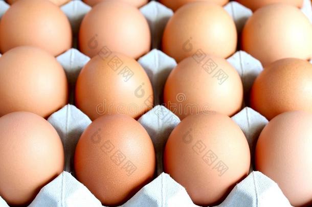 托盘上有新鲜的农场鸡蛋