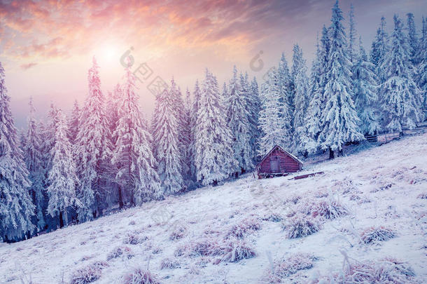 喀尔巴阡山五彩缤纷的冬天场景。