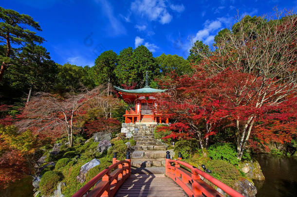 京都秋树的大吉寺