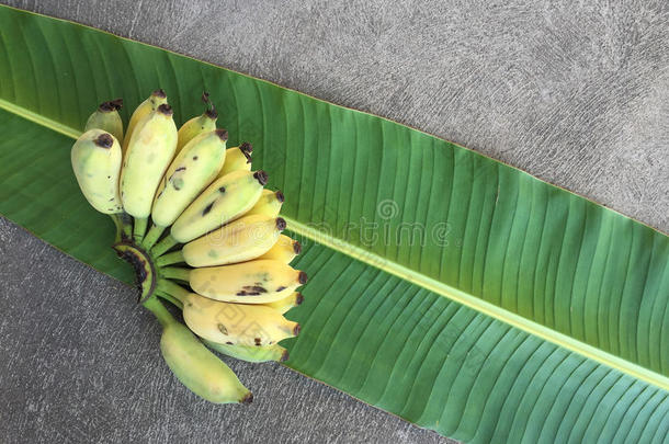 种植<strong>香蕉</strong>、泰国<strong>香蕉</strong>和绿色<strong>香蕉</strong>叶