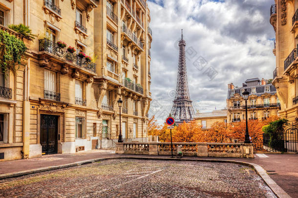 从法国巴黎的街道上看到埃菲尔铁塔。 鹅卵石路面
