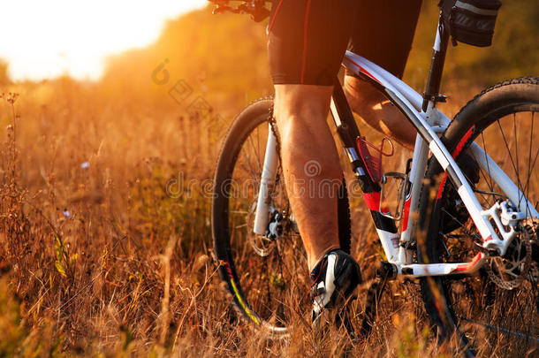 骑自行车的人在秋天森林的户外小径上骑山地自行车