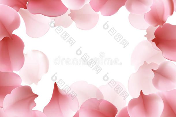 美丽的轻春框图案与粉红色飞花瓣的樱花-日本樱桃树。