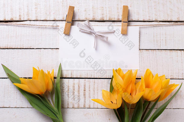 清新的春天，黄色的郁金香花和空的标签