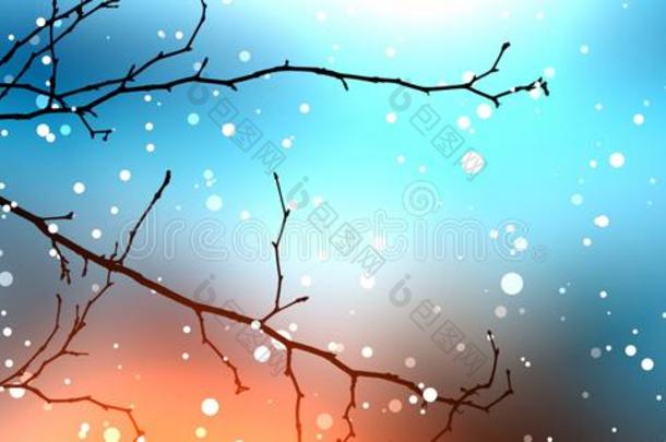 蓝色的冬天模糊了背景。 光秃秃的树枝在小雪的滚动下没有叶子。
