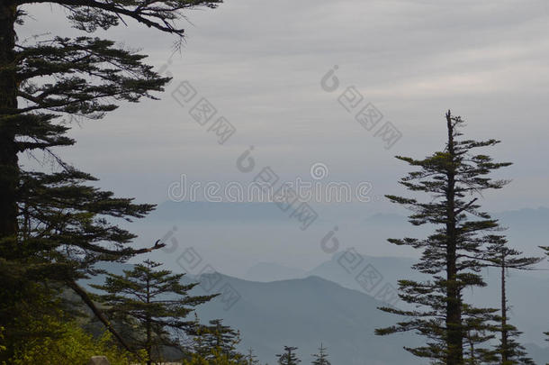 中国风景山