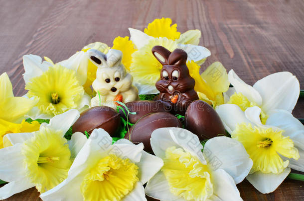 复活节背景巧克力兔子，巧克力鸡蛋周围都是水仙花