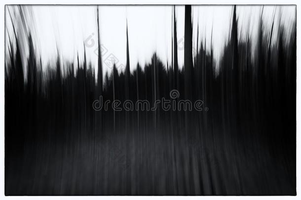 一张黑白照片的概念照片，使用缓慢的<strong>快门</strong>速度的树木在森林中显示树叶和路径