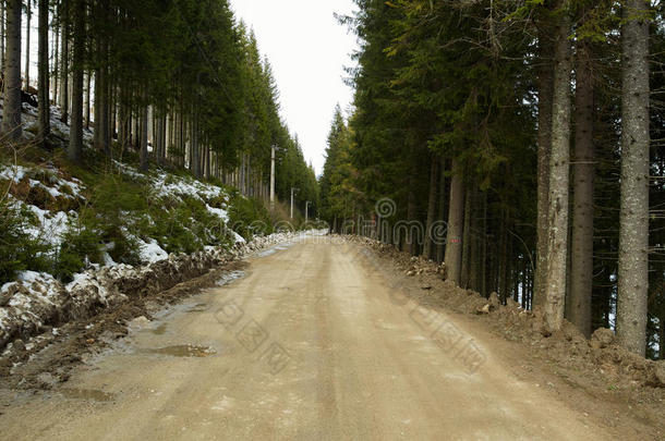 乡村公路穿过山林