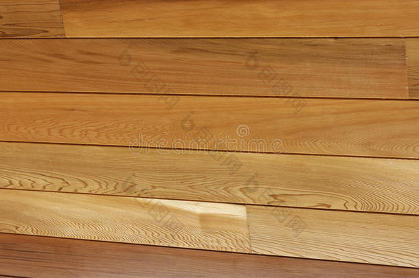 木天花板