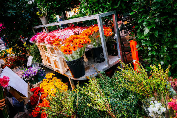 哥本哈根花卉市场上五颜六色的鲜花