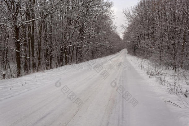 冰雪森林中的冬季道路