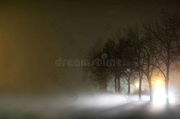 雾蒙蒙的夜晚在河边，有树。 旋转的薄雾，大气的场景。