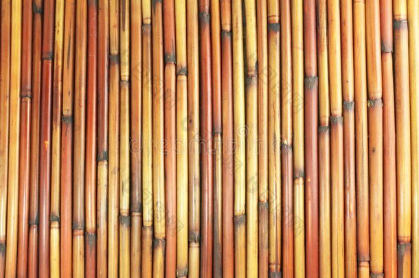 美丽的竹子纹理设计背景