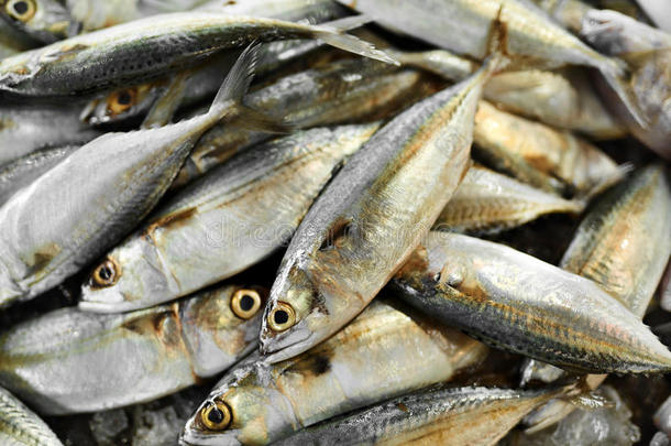 食物。 市场上的鲭鱼。 海鲜。 健康的饮食。 营养，维生素