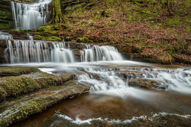 美丽的流动瀑布，在林地环境中有级联。