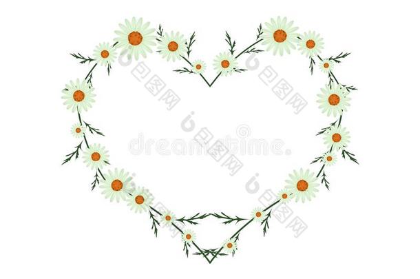 美丽的绿色雏菊花在心脏形状