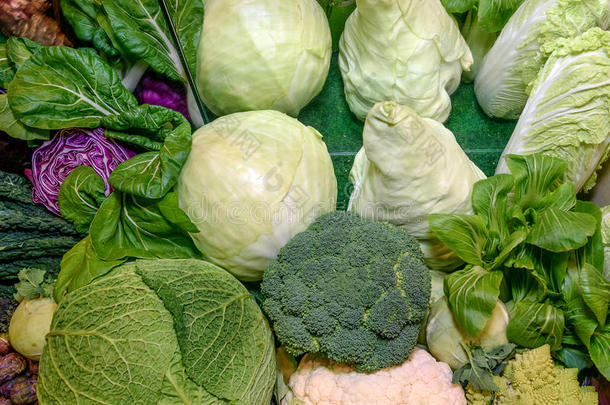 新鲜的生鲁克蔬菜。 卷心菜，红白菜，西兰花，花椰菜，大白菜，科拉比，罗马西兰花