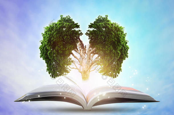 用大脑大树增长知识的书。