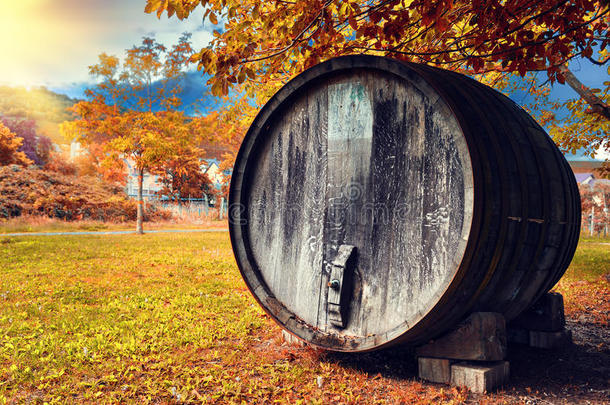 秋天的景观与旧的<strong>木制酒桶</strong>