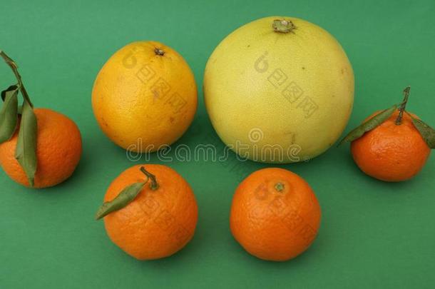 橘子、橘子和柚子的柑橘类水果