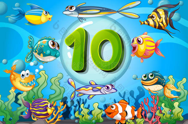 闪存卡号码10与10条鱼水下