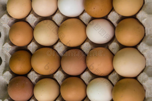 鸡有色的鸡蛋农民生活