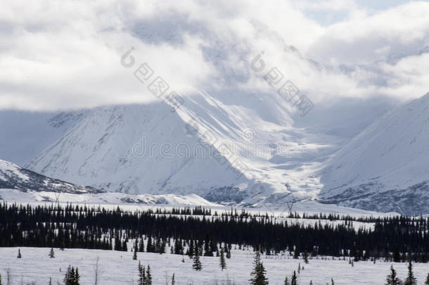 阿拉斯加。山。冰雪蓝天的冬季景观。