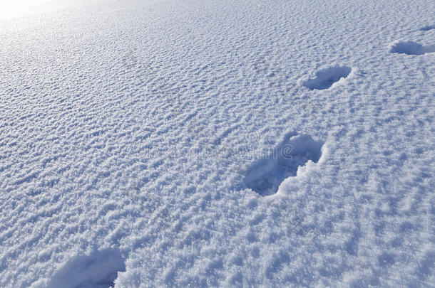 雪地里的脚步声