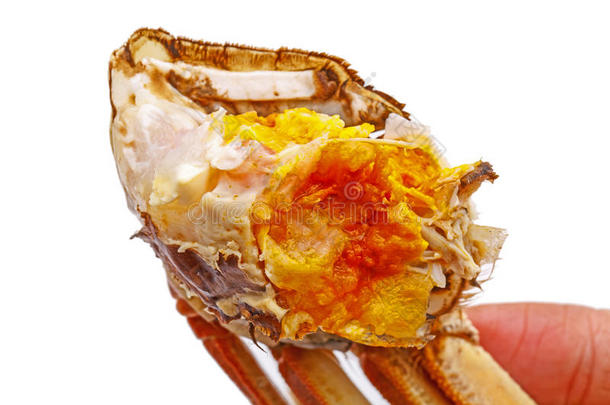 大闸蟹肉和蟹蛋分离在白色。