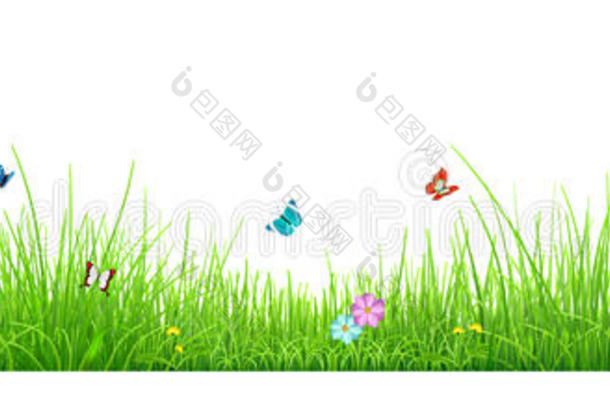 绿草有花和蝴蝶